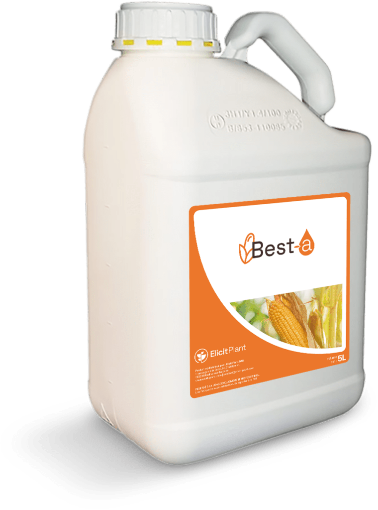 Best-a biais GB