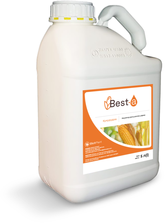 Best-a