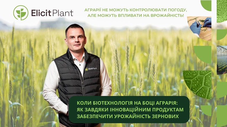Коли біотехнологія на боці аграрія: як завдяки інноваційним продуктам забезпечити урожайність зернових
