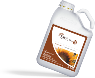 EliSun-a