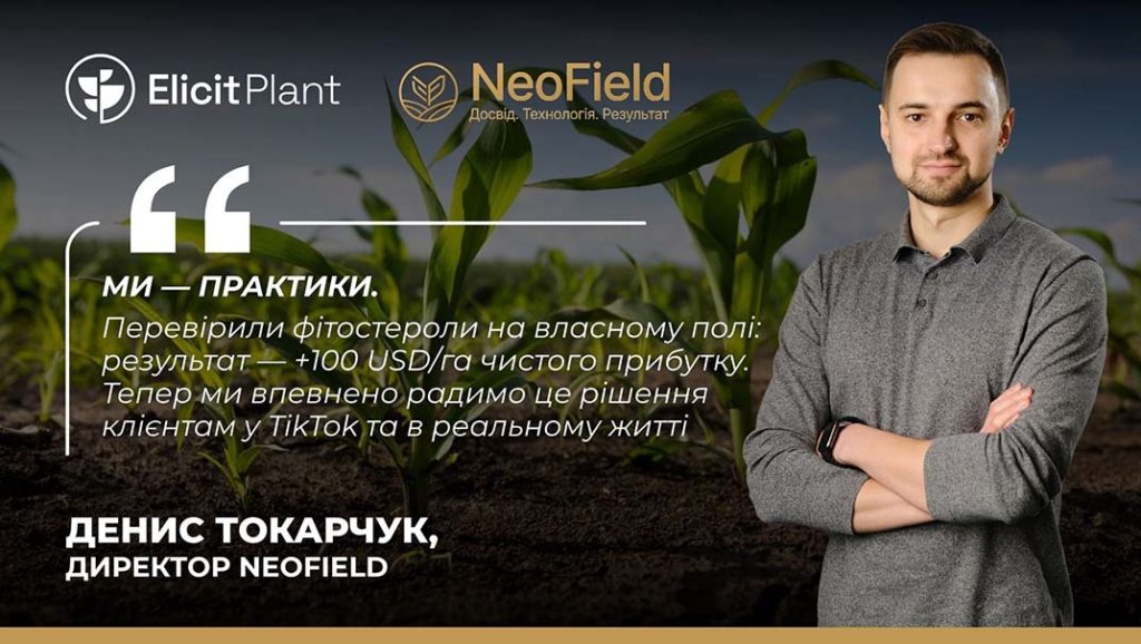 NeoField Денис Токарчук