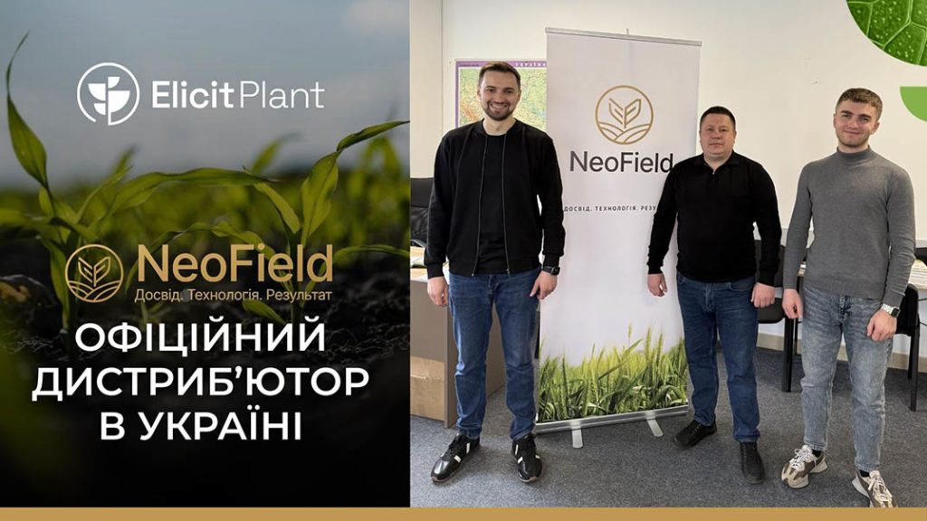 команда NeoField