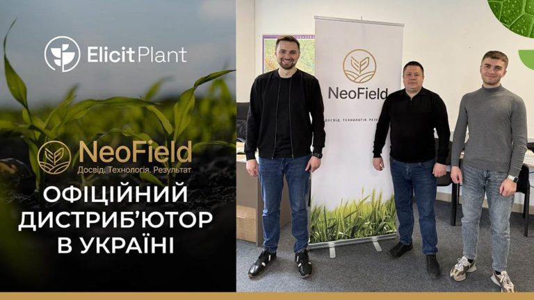 команда NeoField