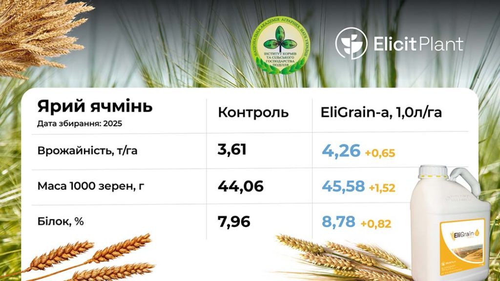 Ярий ячмінь