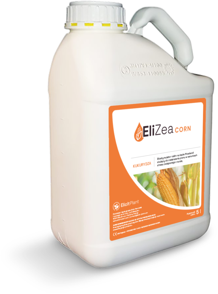 EliZea Corn