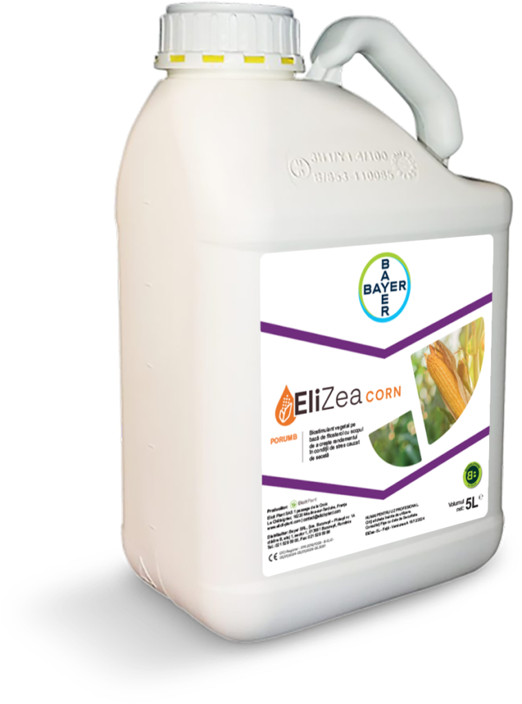 EliZea Corn