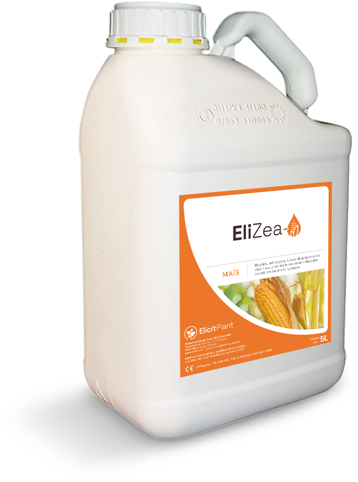 EliZea