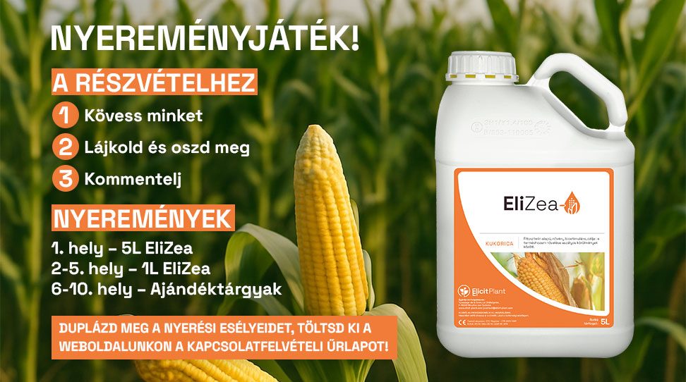 NYEREM&Eacute;NYJ&Aacute;T&Eacute;K!