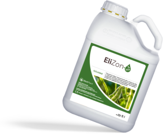 EliZon