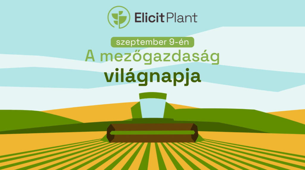 A mezőgazdas&aacute;g vil&aacute;gnapja