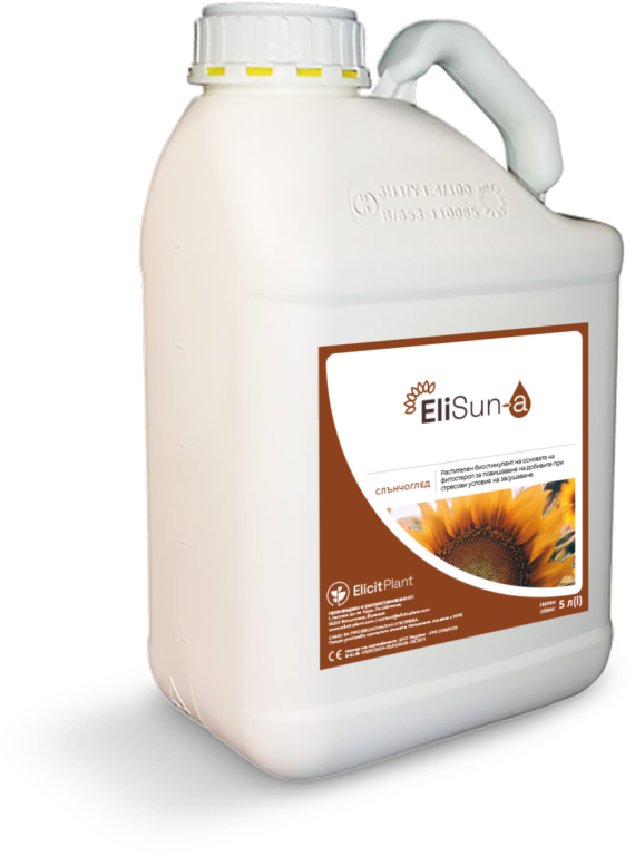 EliSun