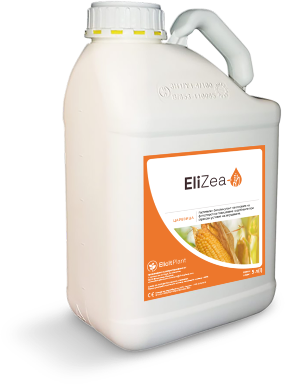 EliZea
