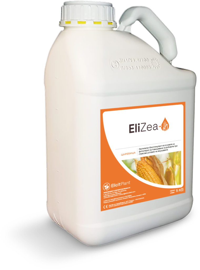 EliZea
