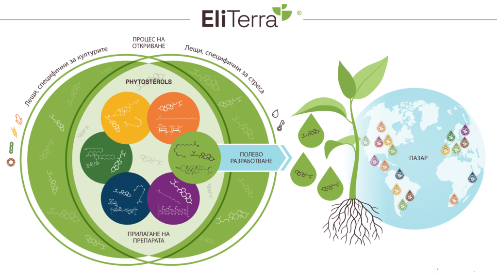 Платформа Eliterra
