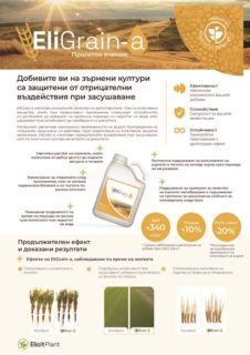 EP-Product-sheet-EliGrain-Spring-Barley-2024-07-BG