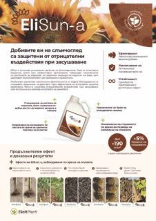 EP-Product-sheet-EliSun-Sunflower-2025-03-BG