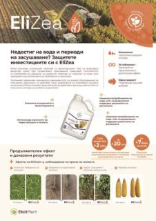 EP-Product-sheet-EliZea-Maize-Silage-2025-03-BG