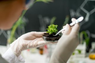 laboratórios que testam fitoesteróis