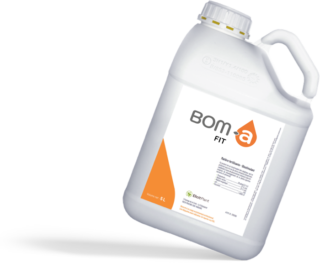 BOM-a FIT
