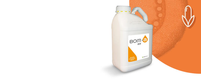 BOM-a Fit Elicit Plant