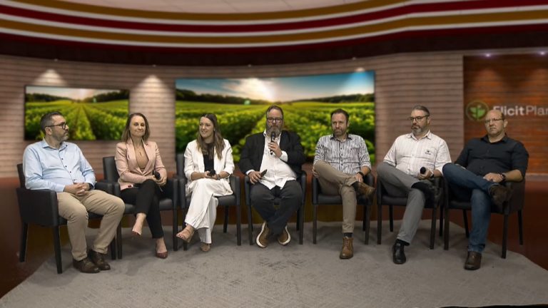 Elicit Talks 2024 - Porto Alegre - Virtual Scenario
