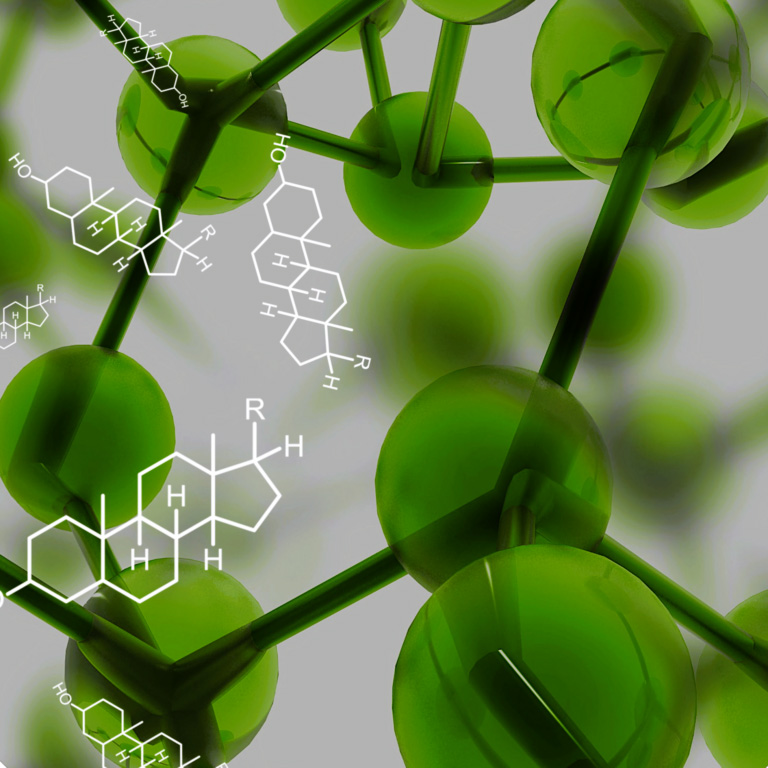 Phytosterole