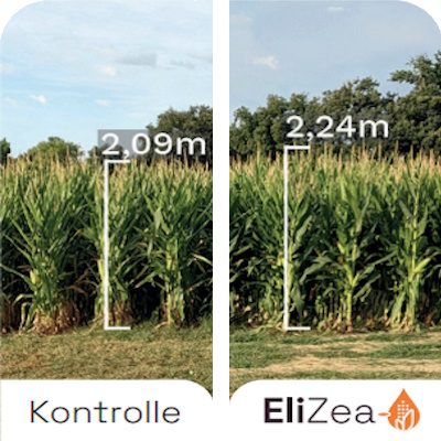 Benefits-Elizea-Biomass