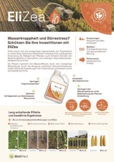 EP-Product-Sheet-EliZea-Silage-2024-11-DE