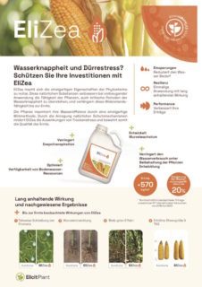 EP-Product-sheet-EliZea-Grain-2024-11-DE