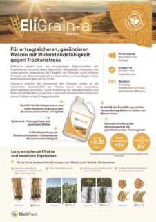 EP-product-sheet-EliGrain-Wheat-2025-02-DE