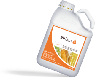 EliZea