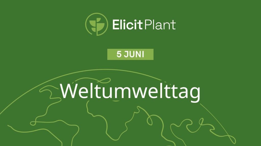 Nachhaltigkeit im Fokus des Engagements von Elicit Plant
