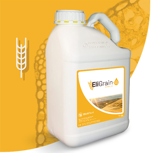 EliGrain-a Trigo