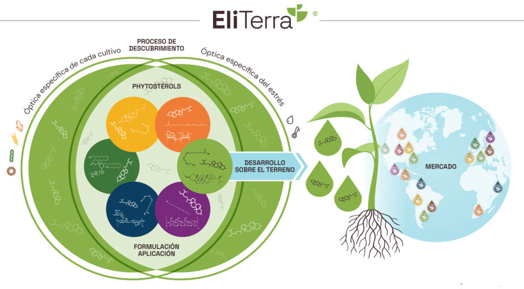 Eliterra plataforma