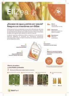 EP-Product-Sheet-EliZea-Grain-a5-2024-11-ES