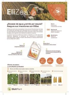 EP-Product-Sheet-EliZea-Silage-a5-2024-11-ES