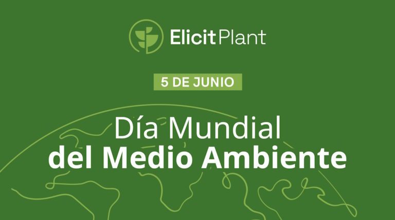 La sostenibilidad en el centro del compromiso de Elicit Plant