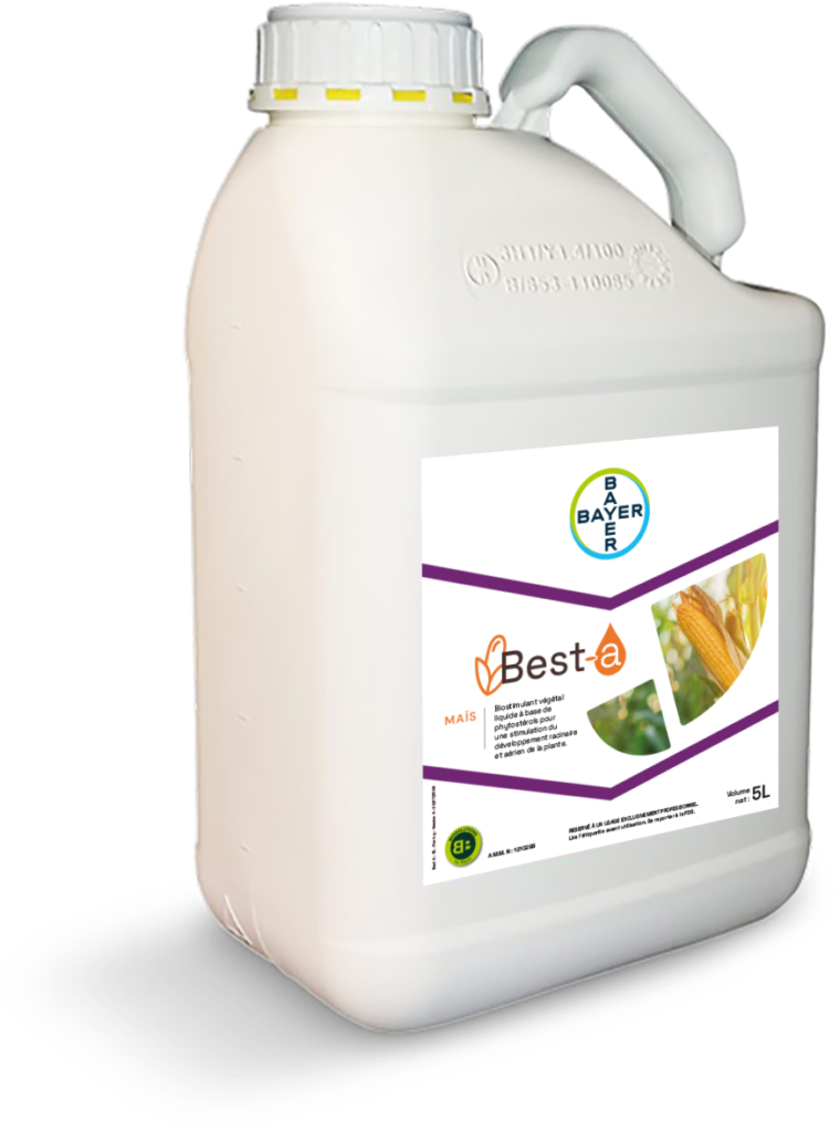Best-a Bayer Maïs