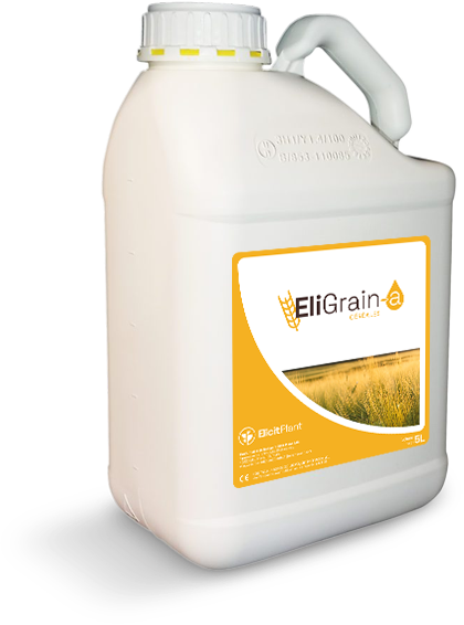 EliGrain-a
