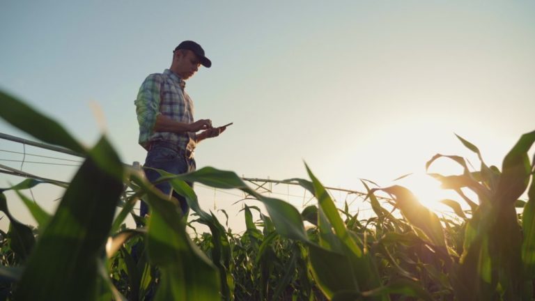 L’agroécologie, au secours des marges