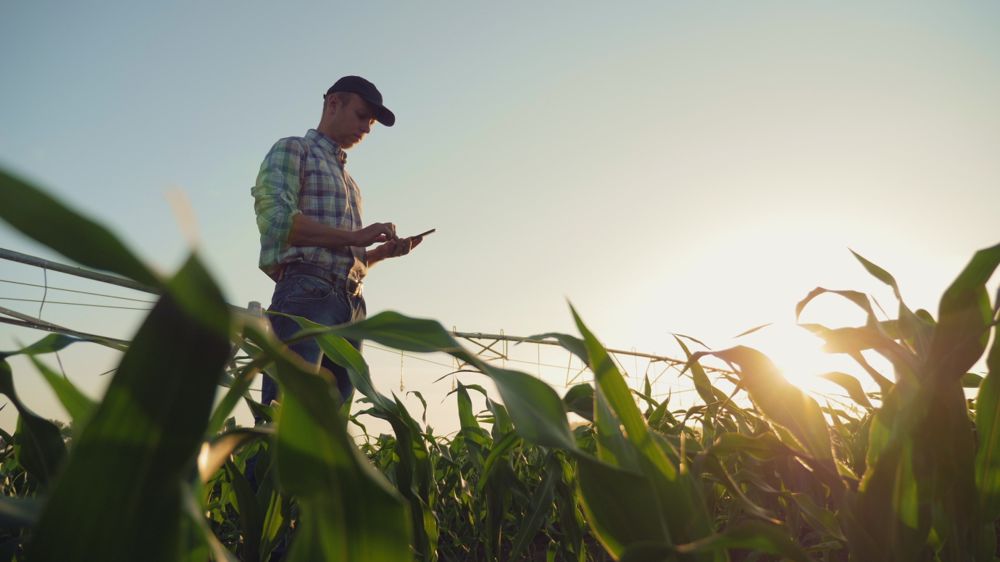 L&rsquo;agro&eacute;cologie, au secours des marges