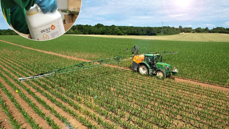 Tracteur appliquant du Best-a sur champ de maïs
