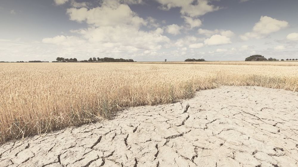 France, Br&eacute;sil, Ukraine&hellip; le climat erratique fait partout baisser les rendements