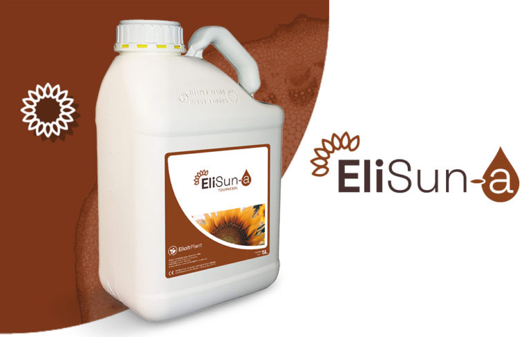 EliSun-a