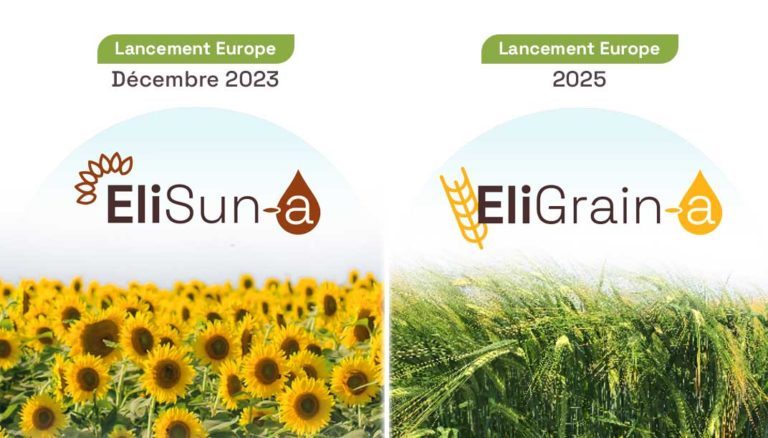 Lancement EliSun-a EliGrain-a