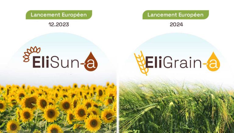 Lancement EliSun-a et EliGrain-a