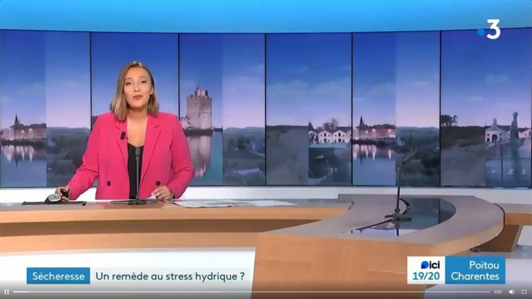 France 3 Elicit Plant