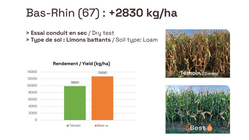 2023 Résultat essais maïs grain Bas-Rhin