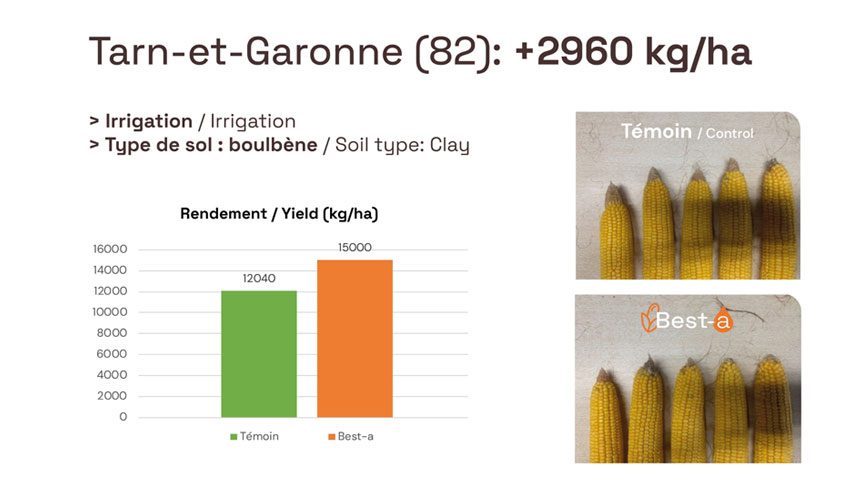 2023 Résultat essais maïs grain Tarn-et-Garonne