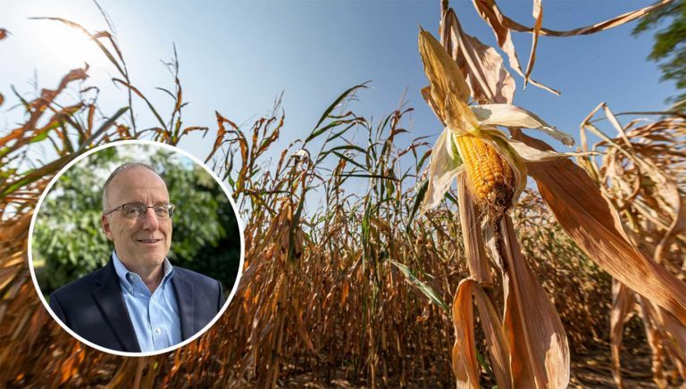 Mark Trimmer Le stress hydrique est bien plus dommageable que les maladies ou les insectes